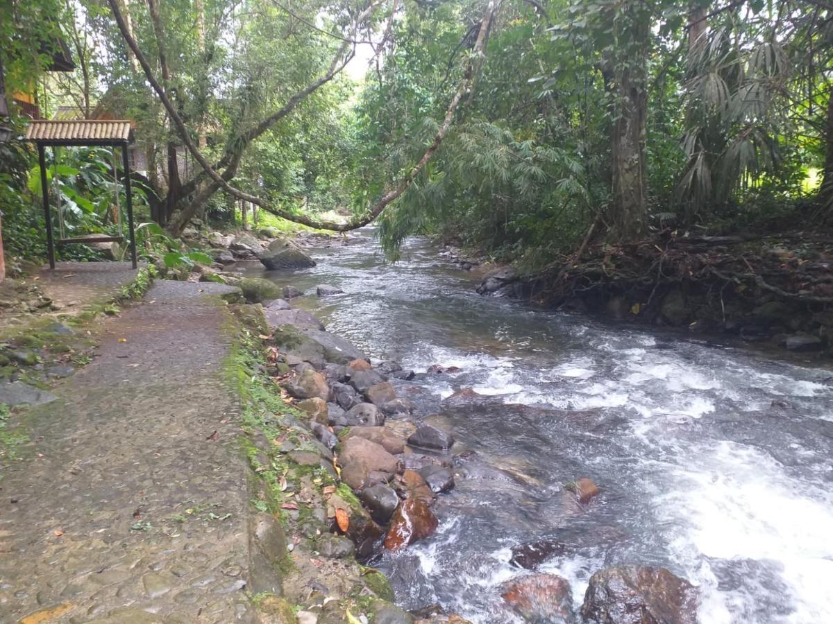 Tree Tops River Huts Khao Sok National Park المظهر الخارجي الصورة