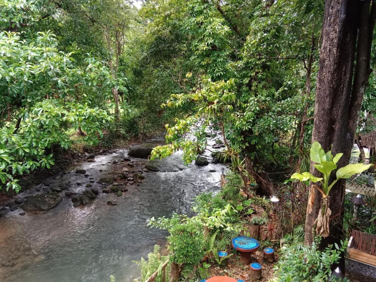 Tree Tops River Huts Khao Sok National Park المظهر الخارجي الصورة