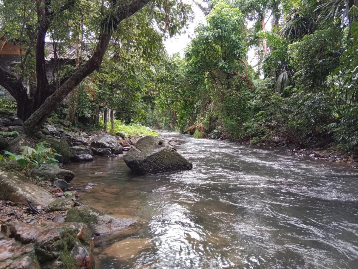 Tree Tops River Huts Khao Sok National Park المظهر الخارجي الصورة