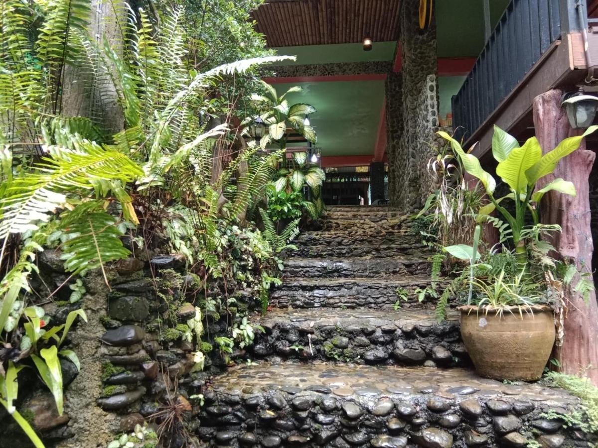 Tree Tops River Huts Khao Sok National Park المظهر الخارجي الصورة