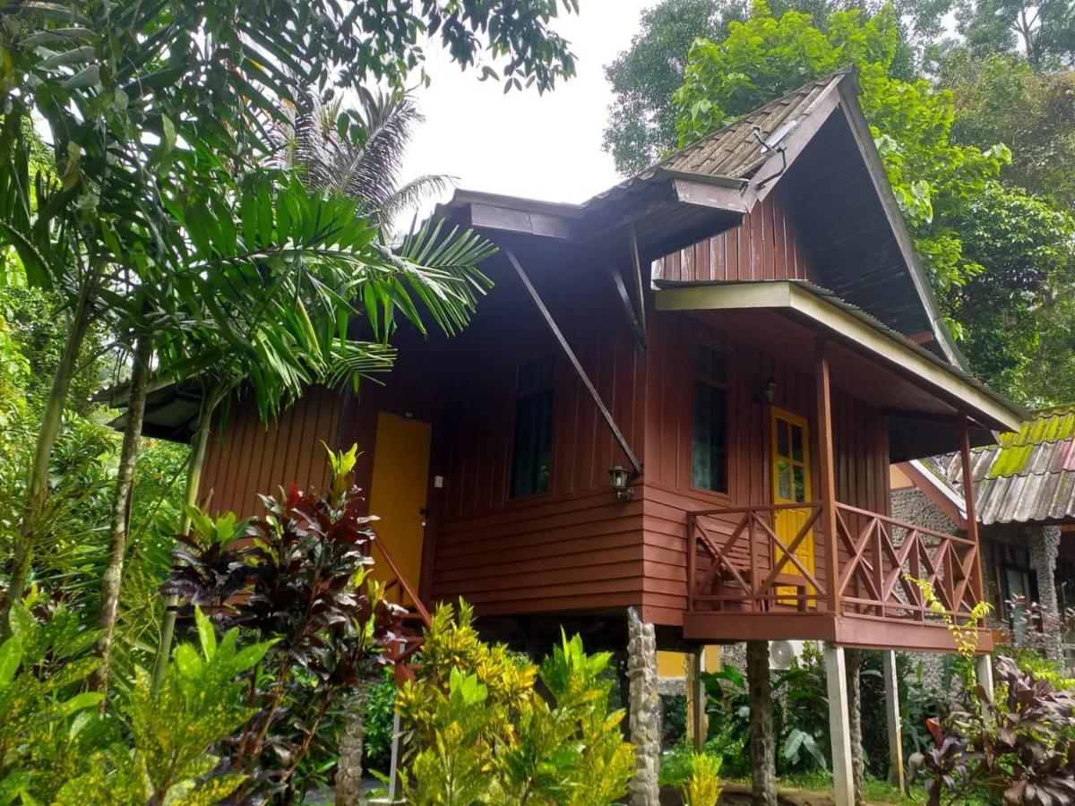 Tree Tops River Huts Khao Sok National Park المظهر الخارجي الصورة