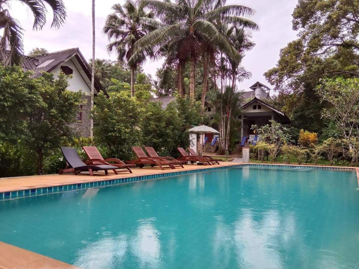 Tree Tops River Huts Khao Sok National Park المظهر الخارجي الصورة