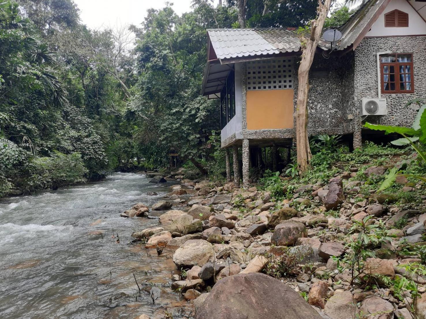 Tree Tops River Huts Khao Sok National Park المظهر الخارجي الصورة