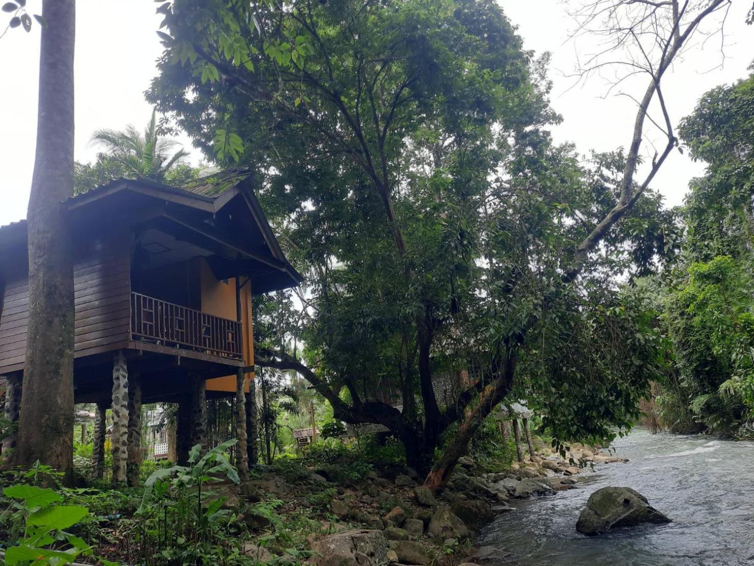 Tree Tops River Huts Khao Sok National Park المظهر الخارجي الصورة