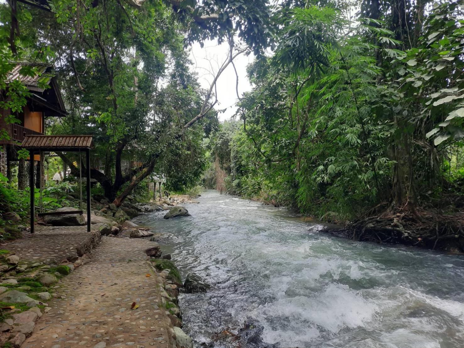 Tree Tops River Huts Khao Sok National Park المظهر الخارجي الصورة