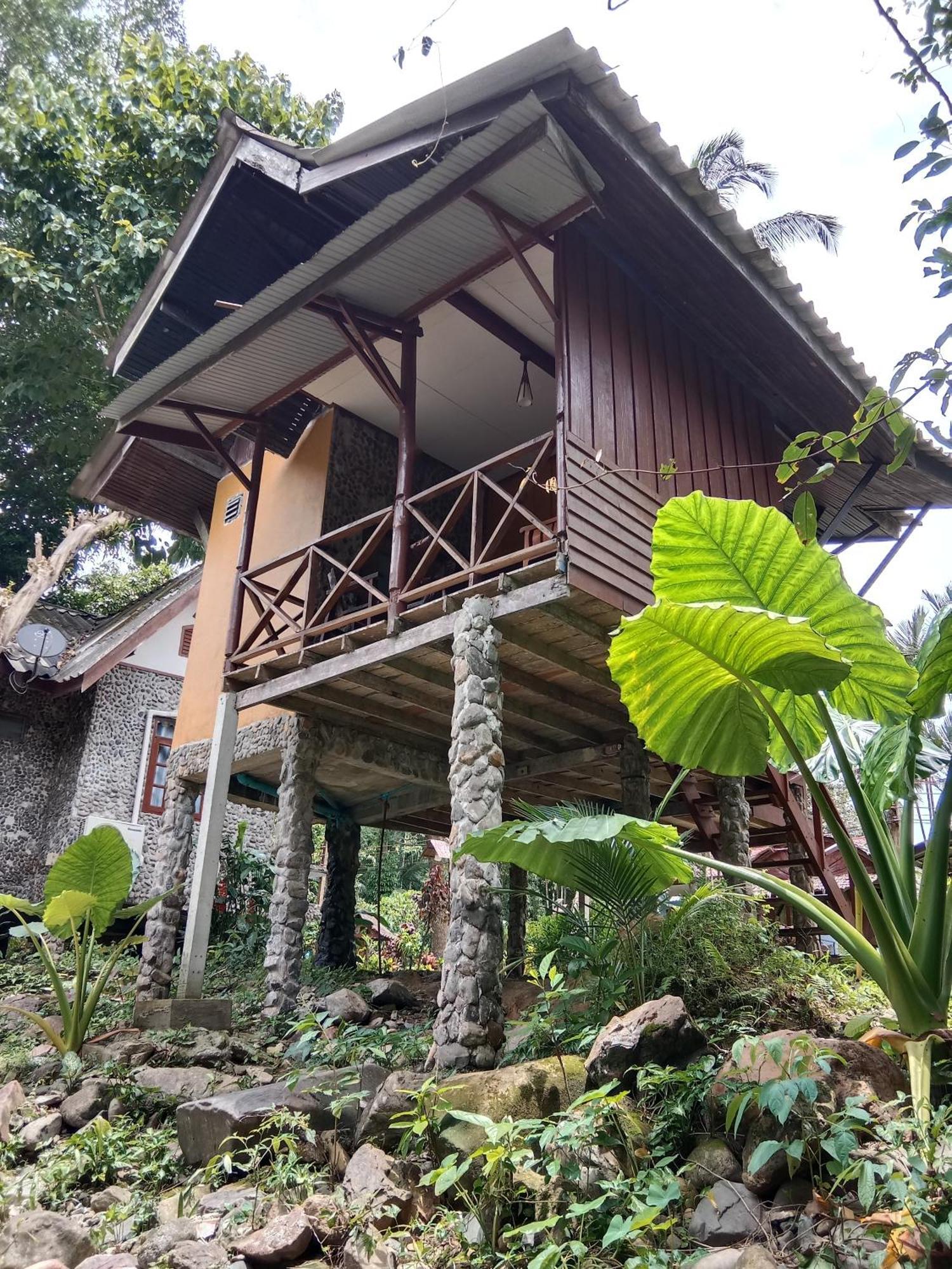 Tree Tops River Huts Khao Sok National Park المظهر الخارجي الصورة