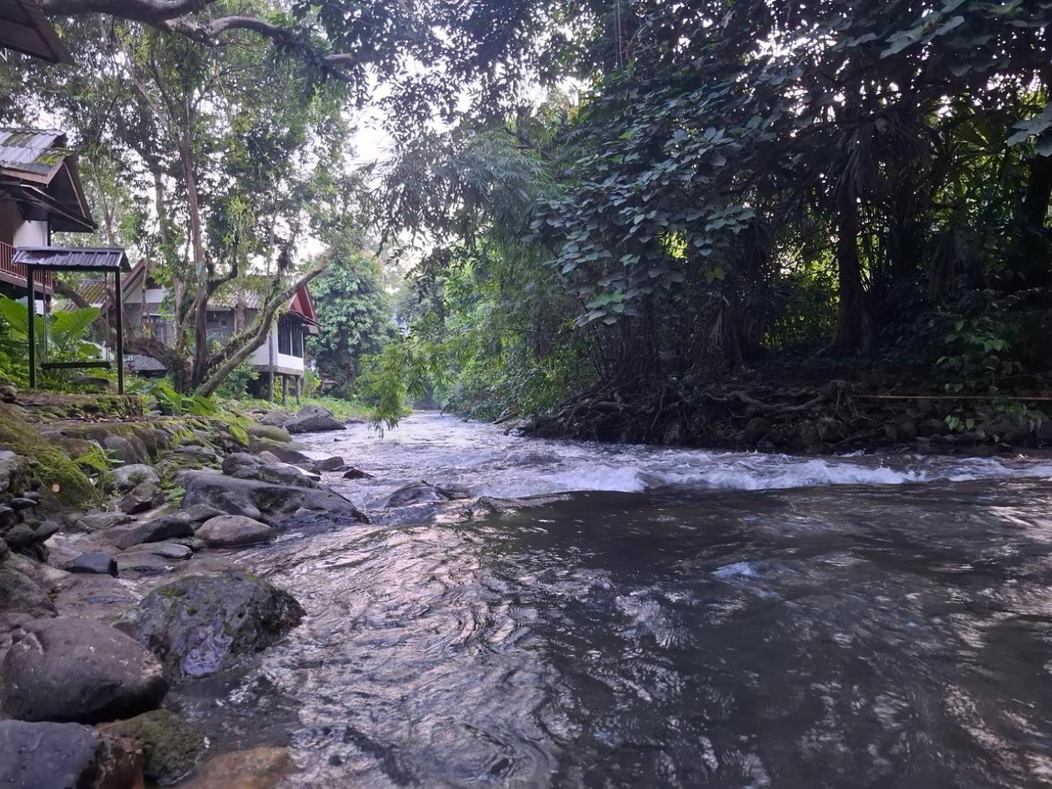 Tree Tops River Huts Khao Sok National Park المظهر الخارجي الصورة