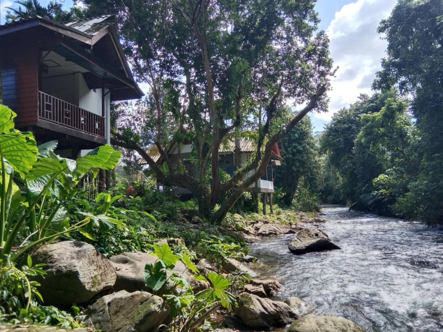 Tree Tops River Huts Khao Sok National Park المظهر الخارجي الصورة